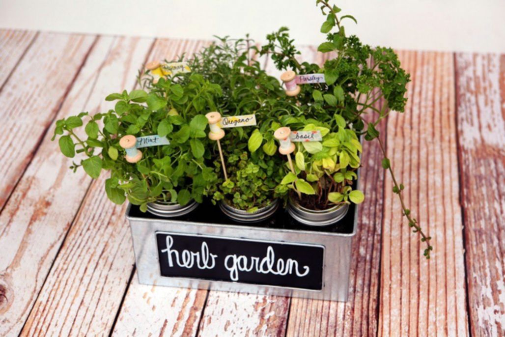 DIY Herb Garden Ideas