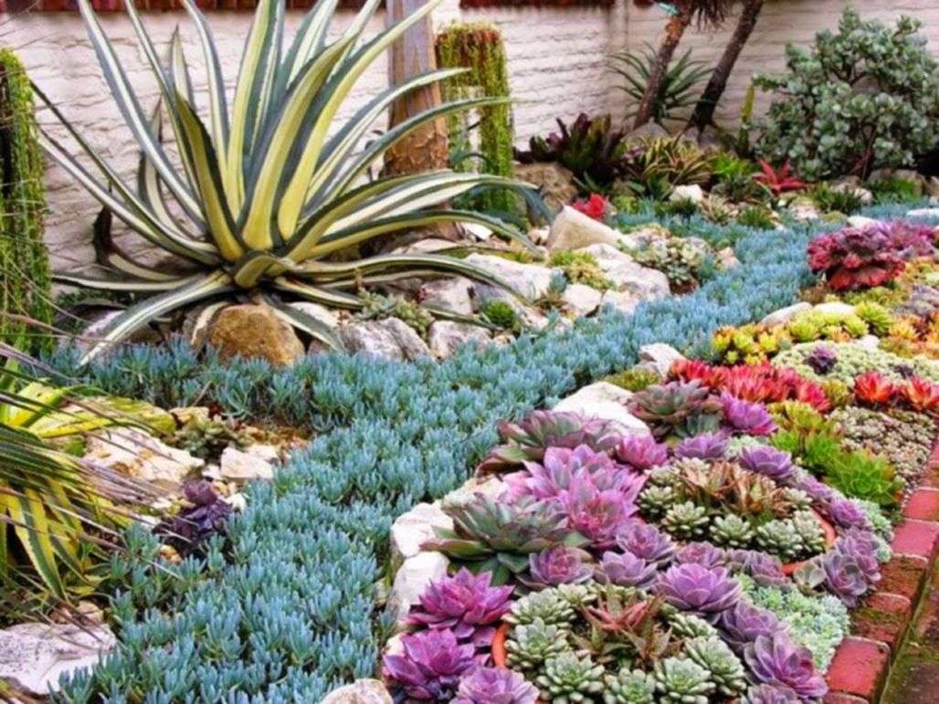 Rock Garden ideas with succulents