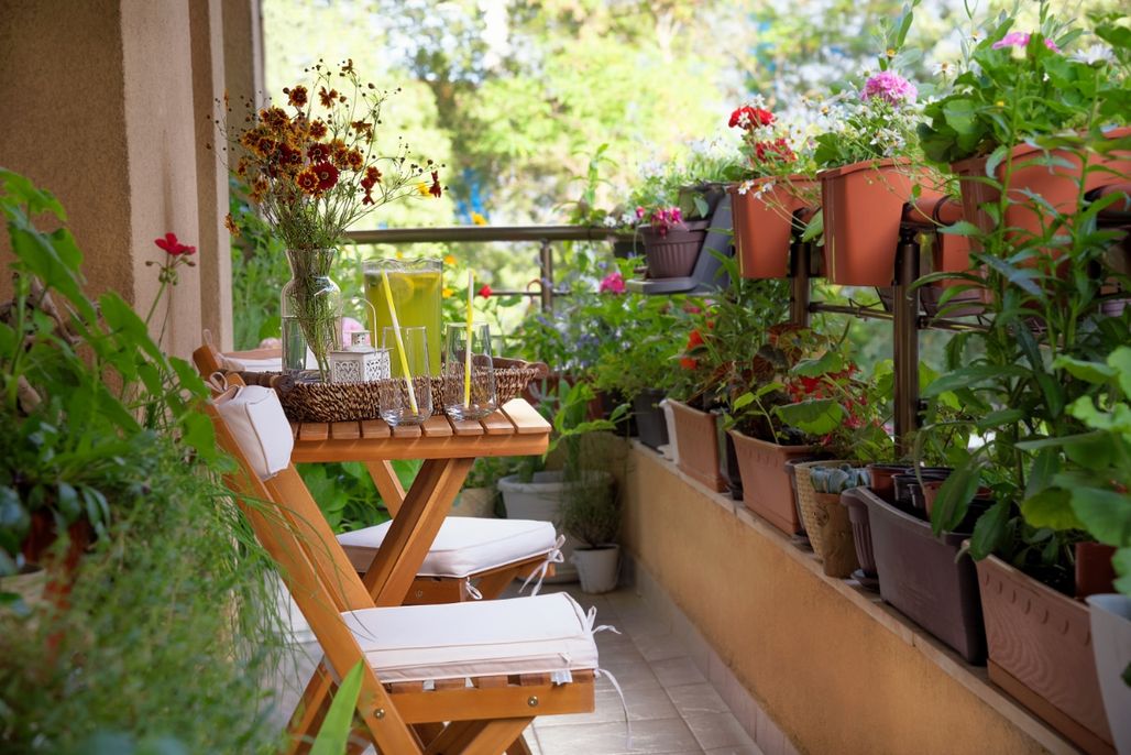 How to Cultivate Your Free Space with a DIY Vegetable Garden